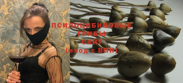 мдпв Балабаново