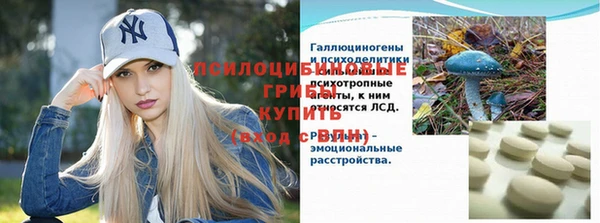 мдпв Балабаново